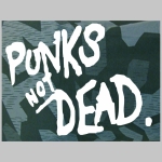 Punks not Dead nočný " ruský " maskáč - Nightcamo SPLINTER, pánske tričko 100%bavlna